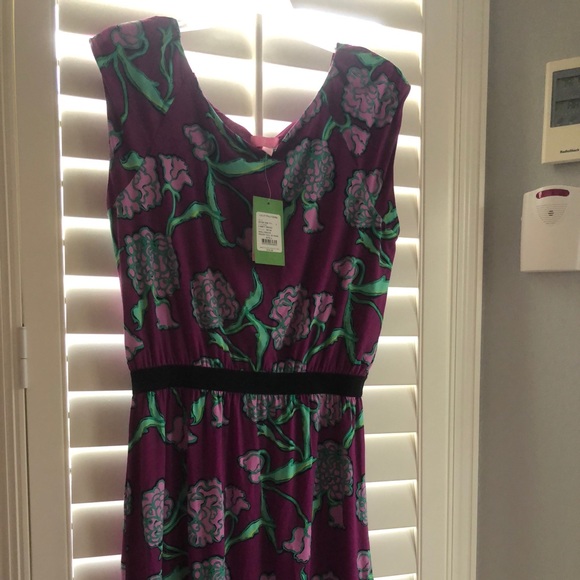Lilly Pulitzer Dress Large NWT - Picture 1 of 3